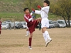 t\I@P